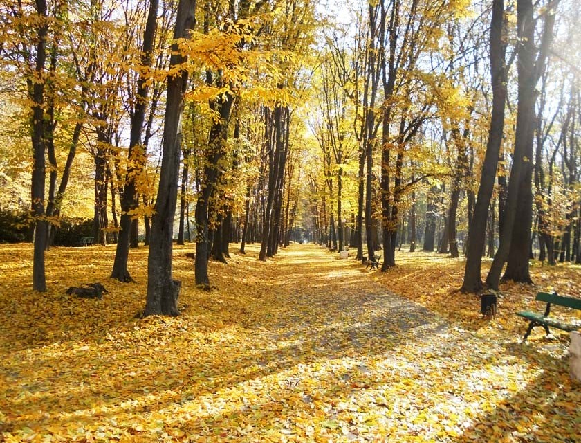 Немирівський парк